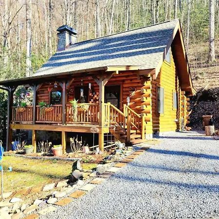 Little Wolf Cabin Villa Maggie Valley Luaran gambar