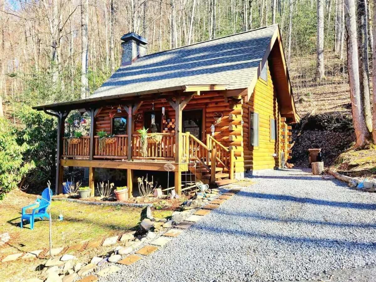 Little Wolf Cabin Villa Maggie Valley Luaran gambar